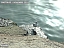 DSCF0821.jpg