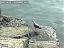DSCF0822.jpg
