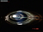 DSC00248.jpg