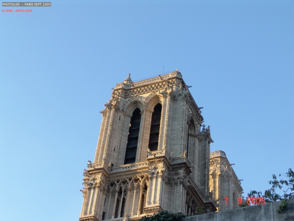 DSC00324.jpg