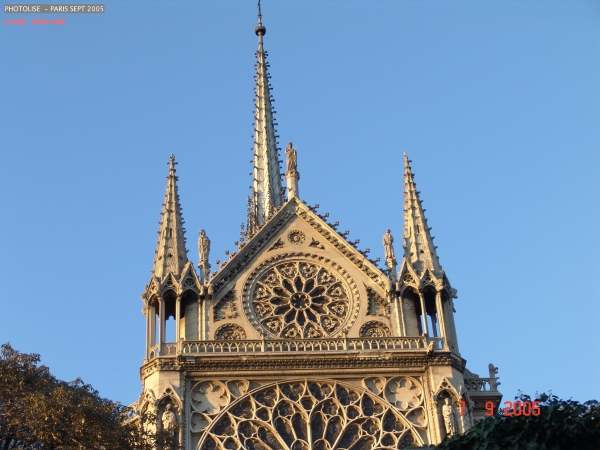 DSC00325.jpg