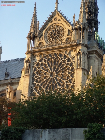 DSC00330.jpg