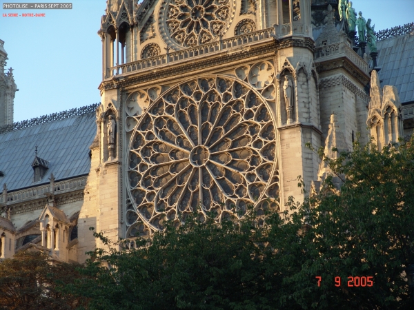 DSC00334.jpg