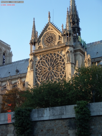 DSC00335.jpg