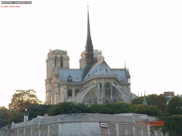 DSC00338.jpg