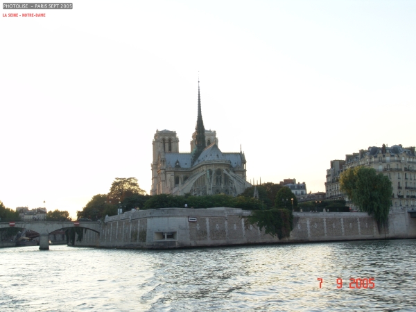 DSC00339.jpg