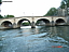 DSC00343.jpg