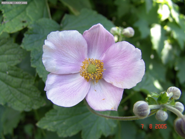 DSC00047