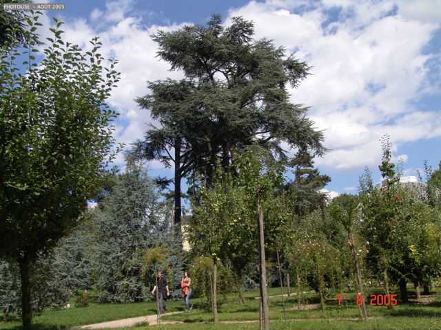 DSC00049