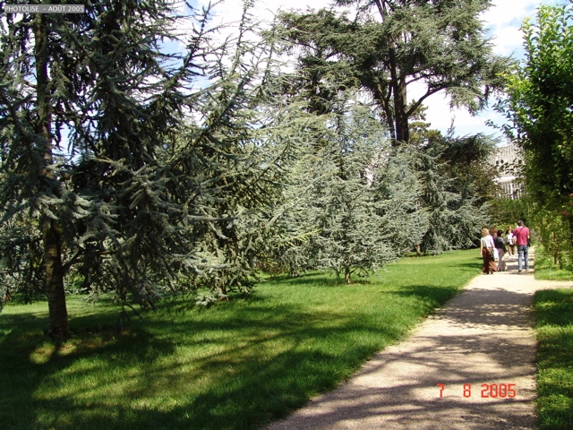 DSC00051