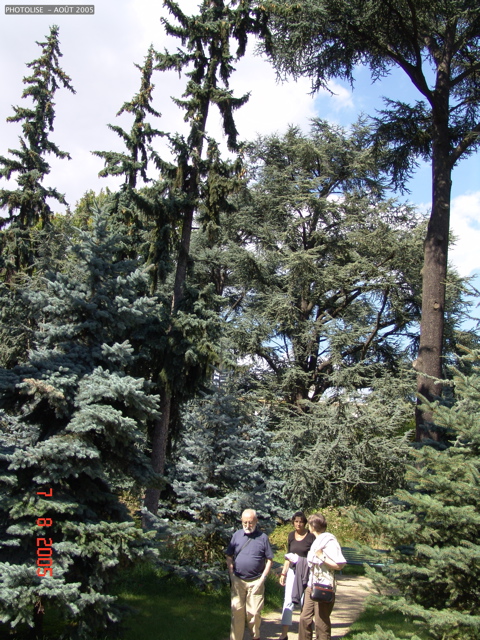 DSC00052