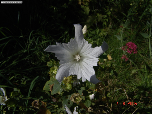 DSC00053