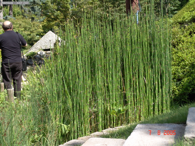 DSC00037