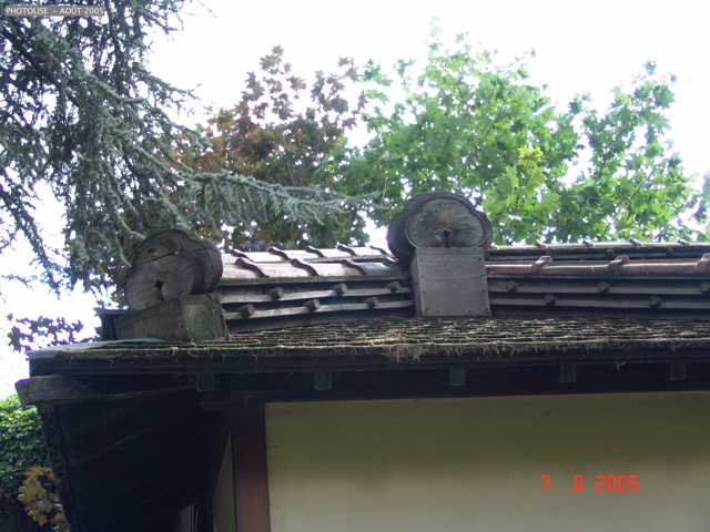 DSC00059