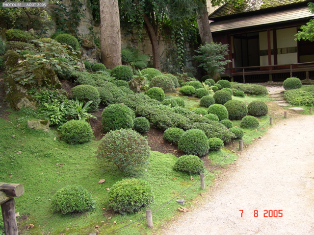 DSC00060