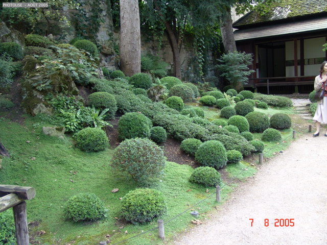 DSC00061