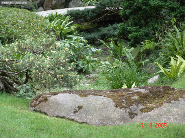 DSC00063
