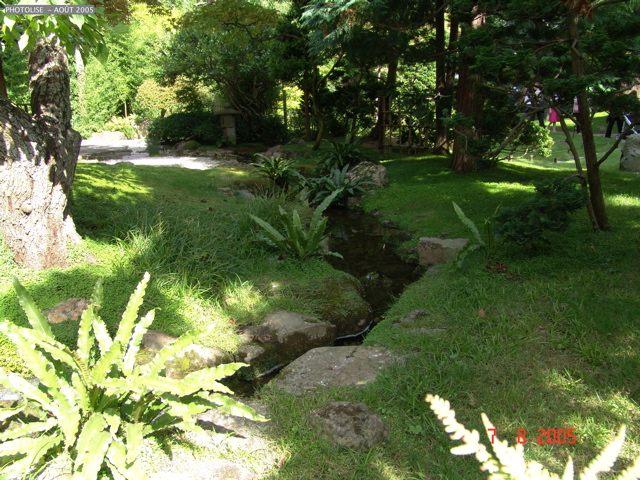 DSC00065