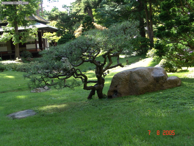 DSC00076
