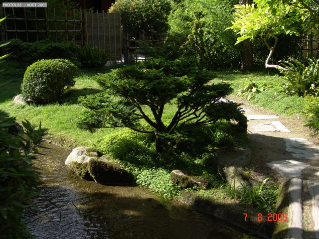 DSC00077