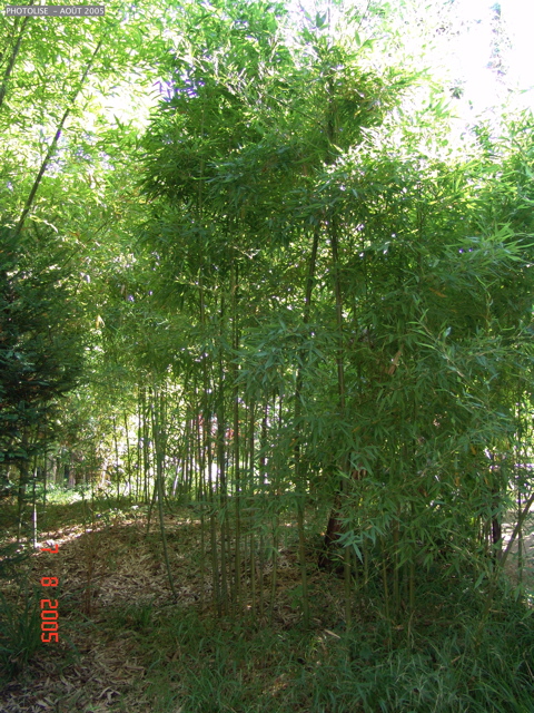 DSC00078