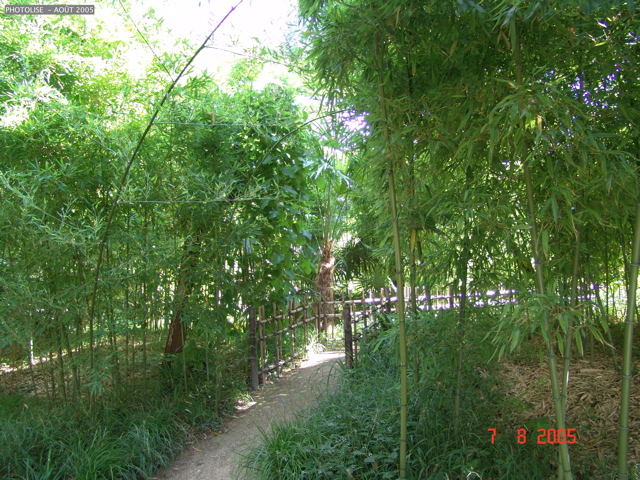 DSC00079