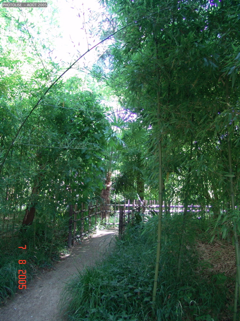 DSC00080