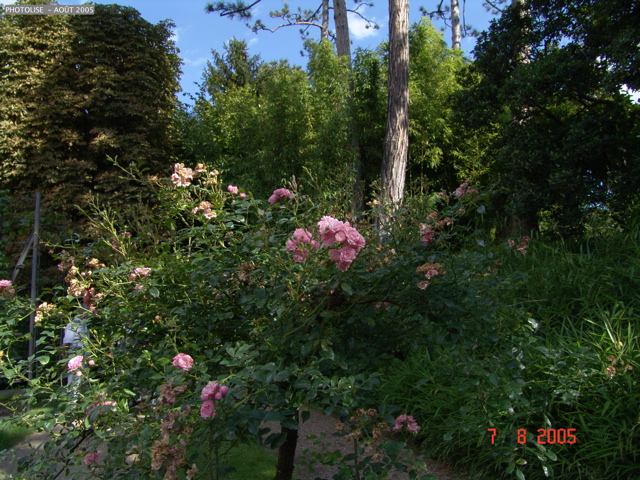 DSC00081