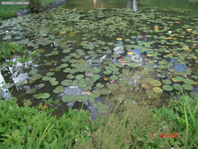 DSC00084