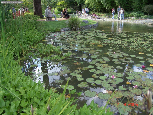 DSC00085