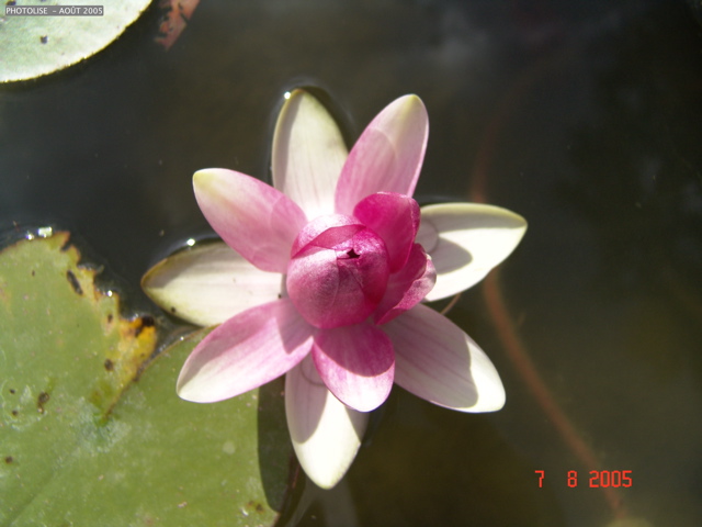 DSC00090