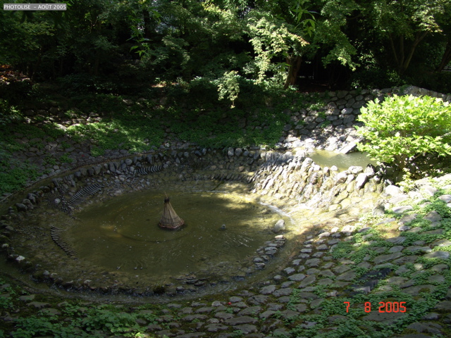 DSC00043