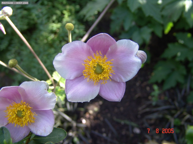 DSC00045