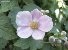 DSC00047