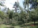 DSC00048