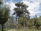 DSC00049