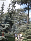 DSC00052