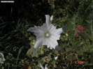 DSC00053