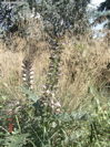 DSC00054