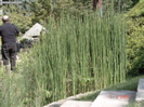 DSC00037