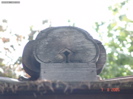 DSC00058