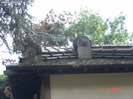 DSC00059