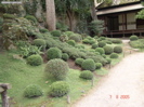 DSC00060