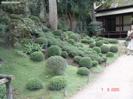 DSC00061