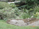 DSC00063