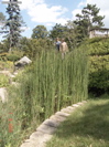 DSC00038