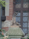 DSC00074