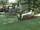 DSC00076