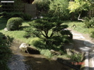 DSC00077