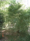 DSC00078